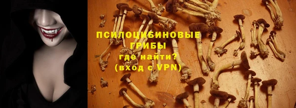 MESCALINE Корсаков