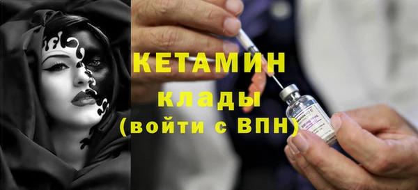 трава Коряжма