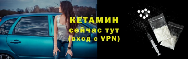 трава Коряжма
