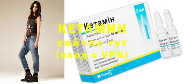 трава Коряжма