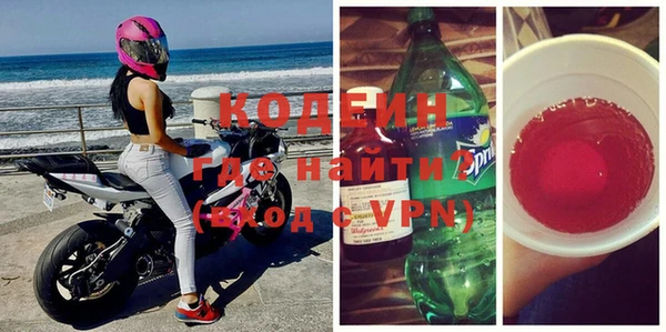 трава Коряжма