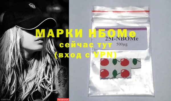 трава Коряжма